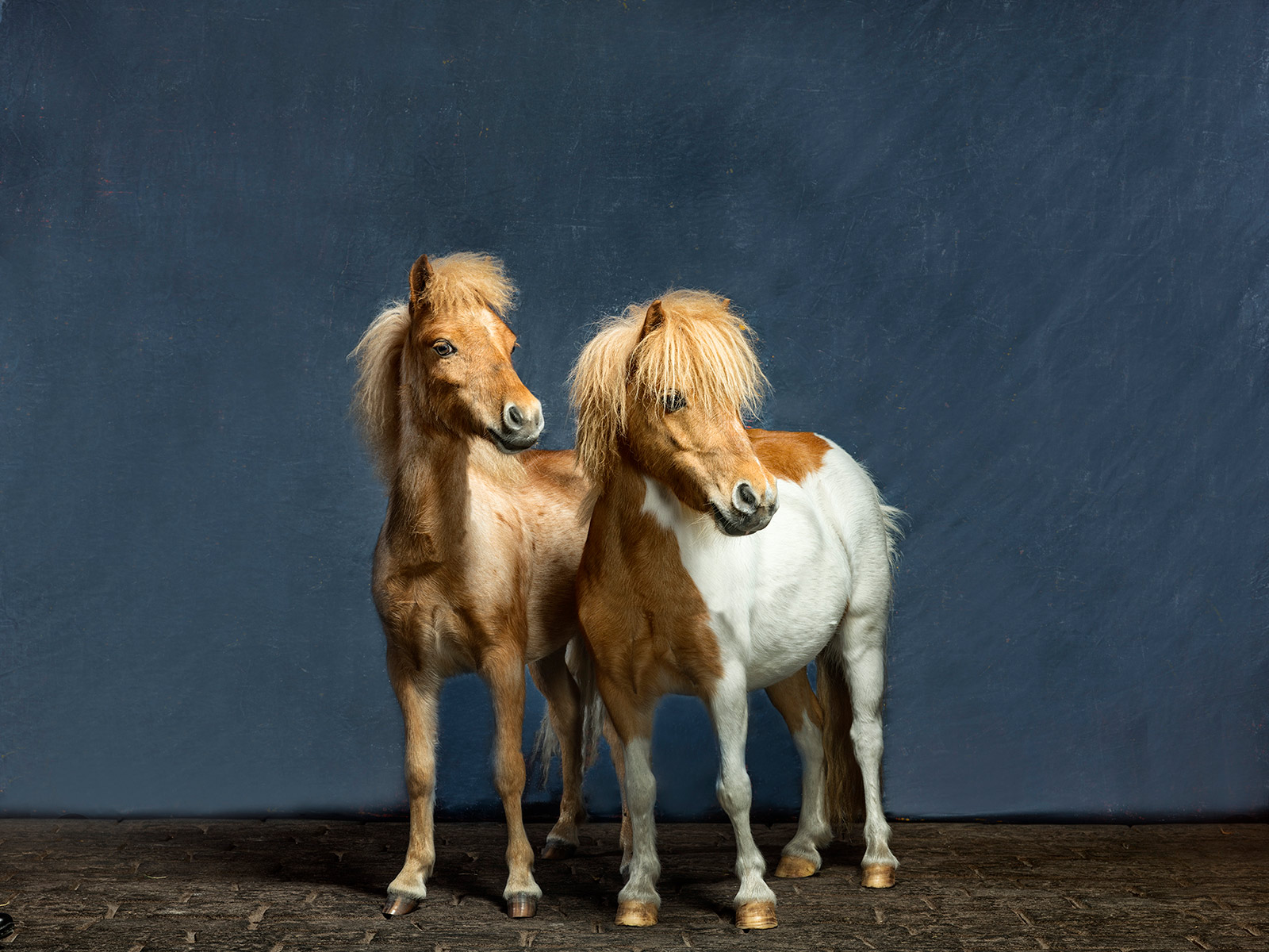FRANKIE-AND-IRIS_015-as-Smart-Object-1-F